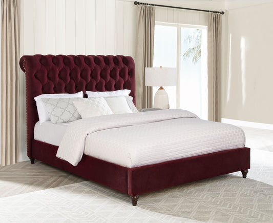 Devon 57-inch Upholstered Full Panel Bed Wine Red